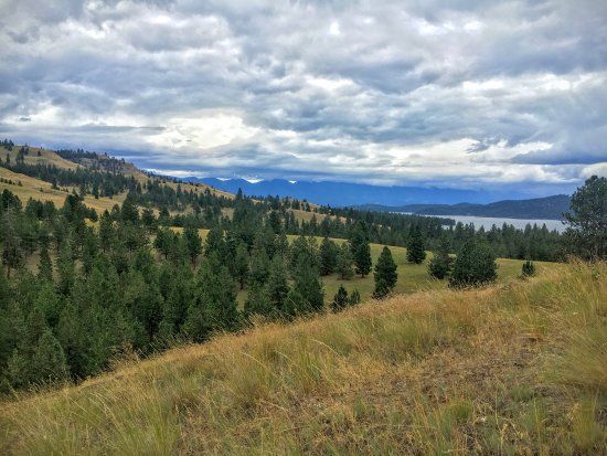 Wild Horse Island State Park